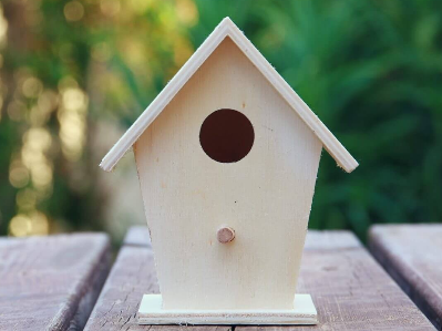 Cabane à oiseau en cèdre